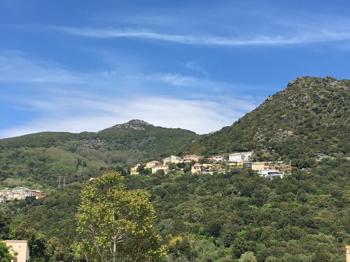 T2 Hauteurs De Bastia Apartment Bastia (Corsica)